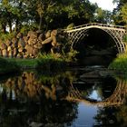 Die Eiserne - Brücken im Wörlitzer Park (1)