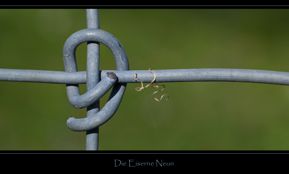 Die Eiserne Neun