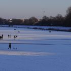 Die Eisläufer