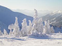 die Eismänner vom Hochkar am 26.12.2008