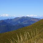 Die Eisriesen im Wallis