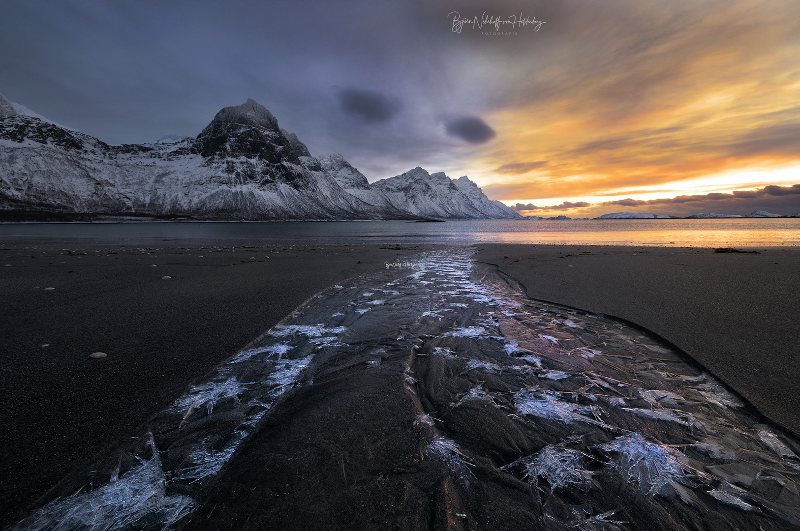 Die Eisspinnen