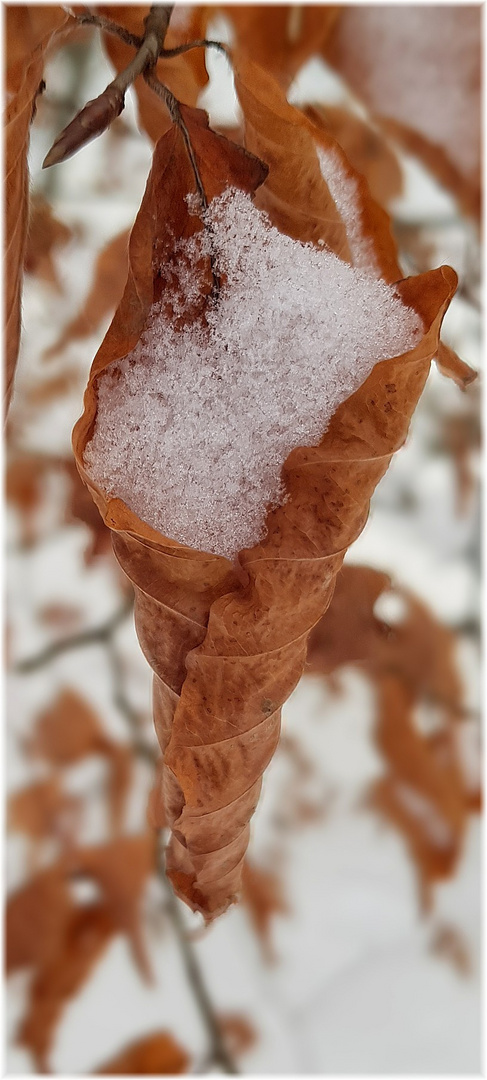 Die Eistüten