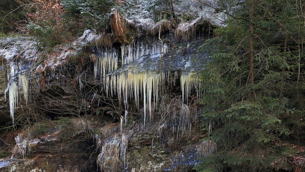 Die Eiszapfen im Bilatal in der Sächsischen Schweiz...