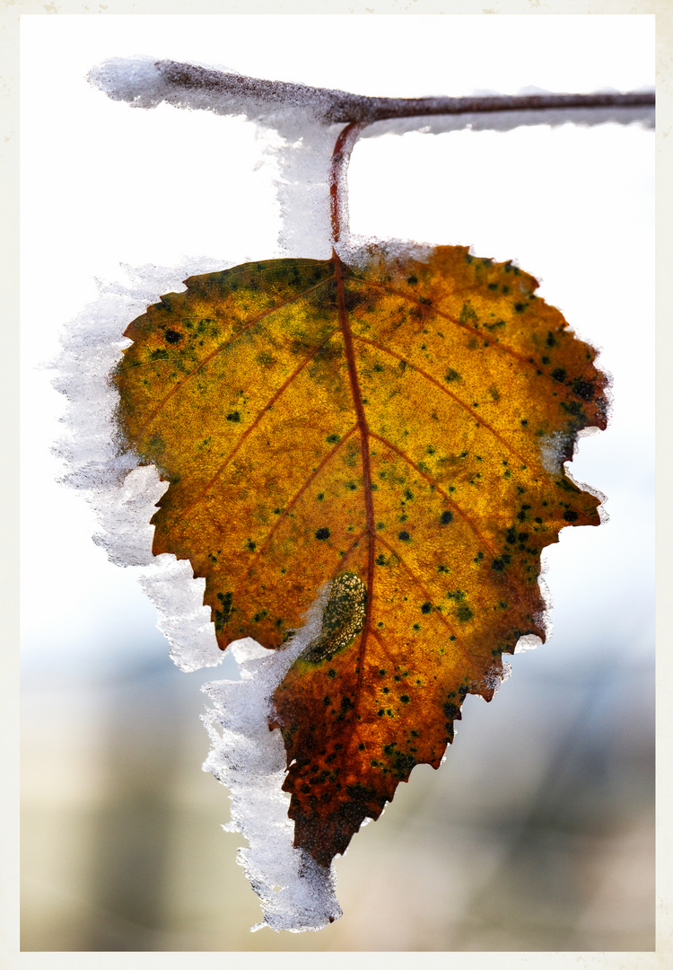 Die Eiszeit hält an