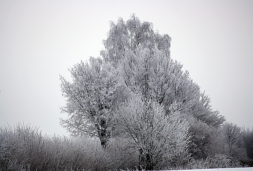 Die Eiszeit hat begonnen.