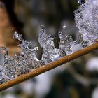 Die Eiszeit ist vorbei ....