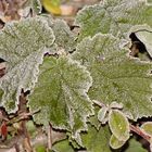 Die Eiszeit kommt