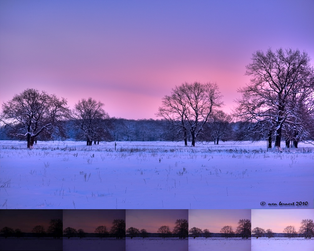 Die (Elb-) Auenlandschaft im Winter ...