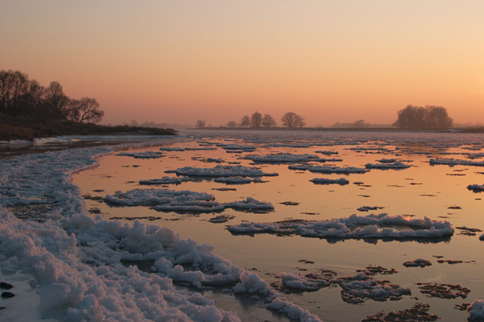 Die Elbauen in der Eiszeit