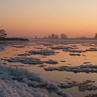 Die Elbauen in der Eiszeit