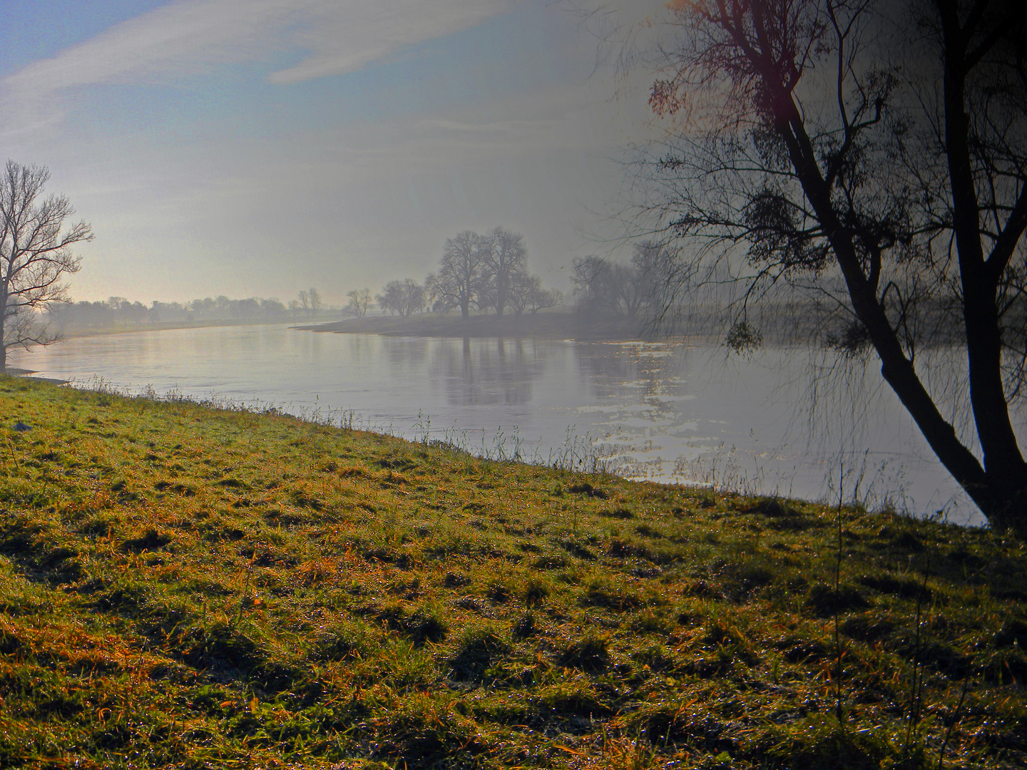 die Elbe