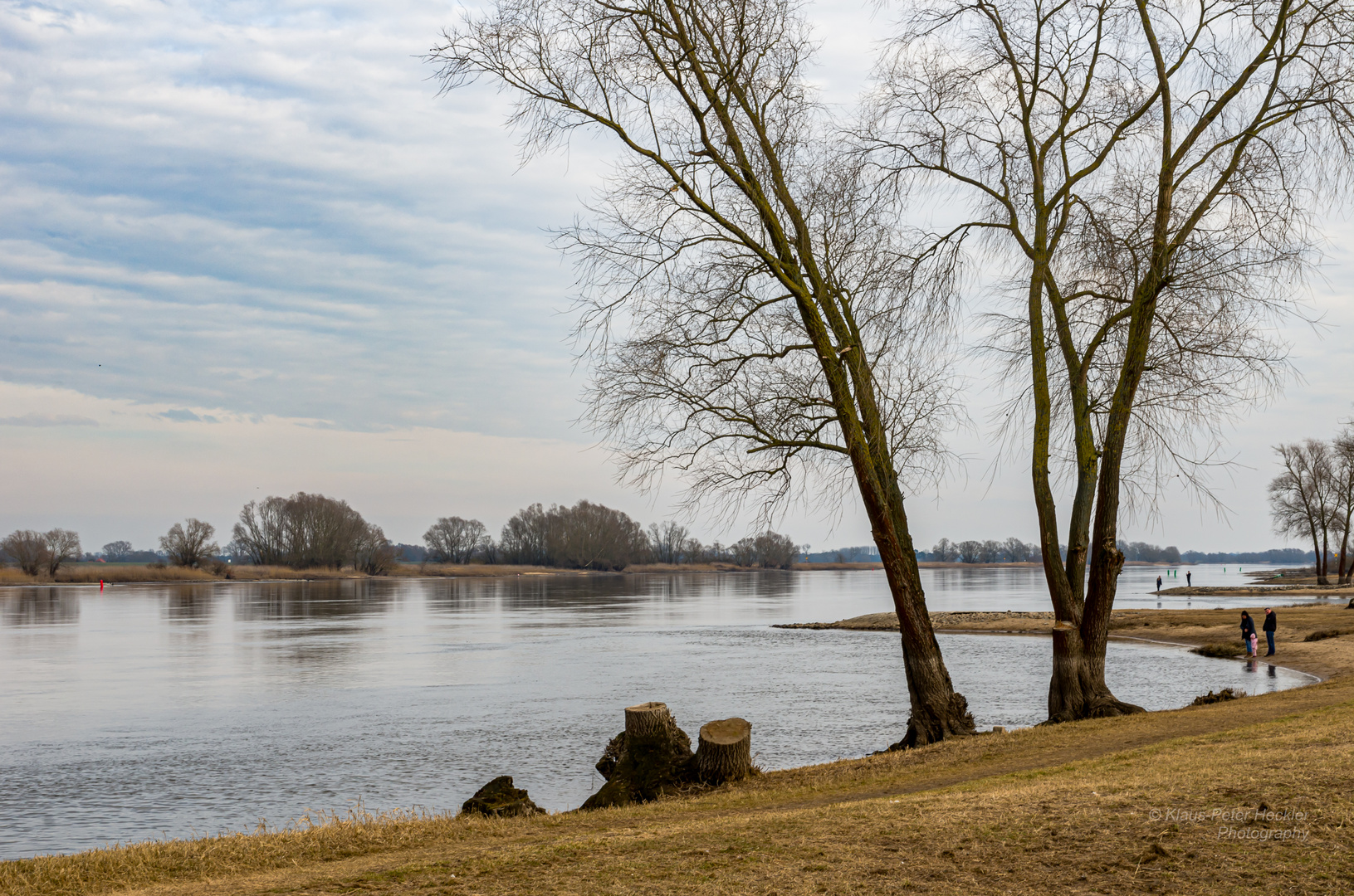 Die Elbe 