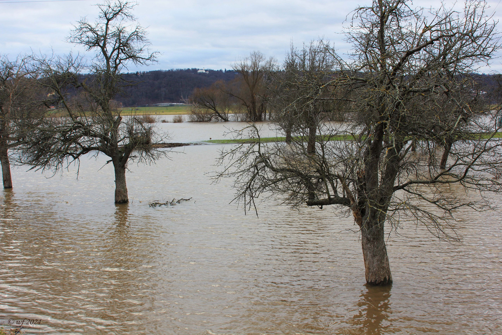 Die Elbe