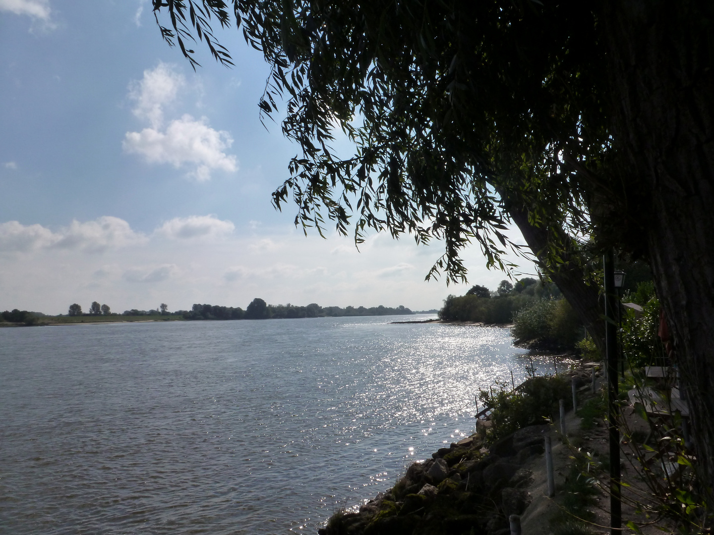 Die Elbe