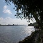 Die Elbe