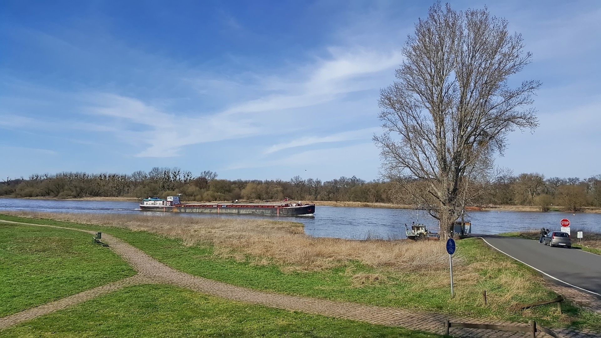 Die Elbe an der Fähre Aken