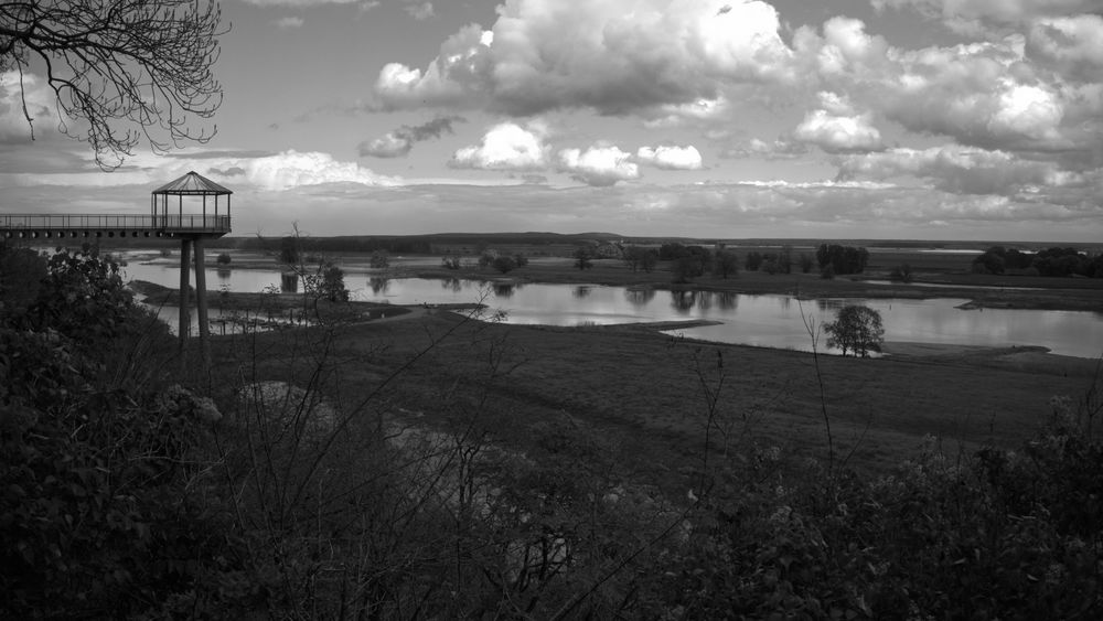 Die Elbe bei Arneburg