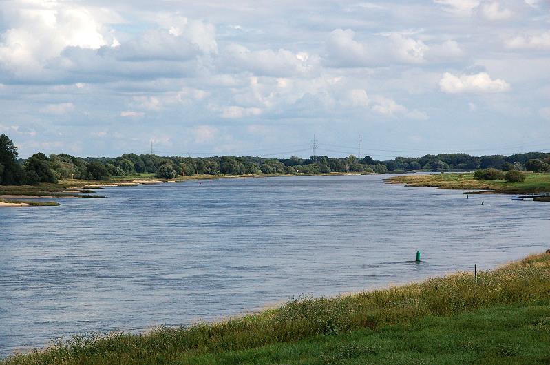 Die Elbe bei Barby