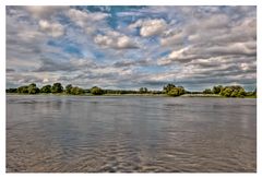 Die Elbe bei Barby