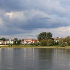 Die Elbe bei Coswig 