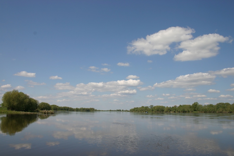 Die Elbe bei Damnatz