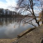 die Elbe bei Dresden