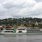 Die Elbe bei Dresden-Blasewitz