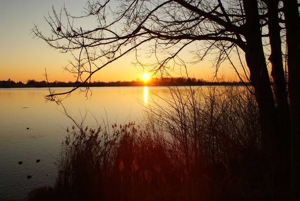 Die Elbe bei Geesthacht von Kasten5 