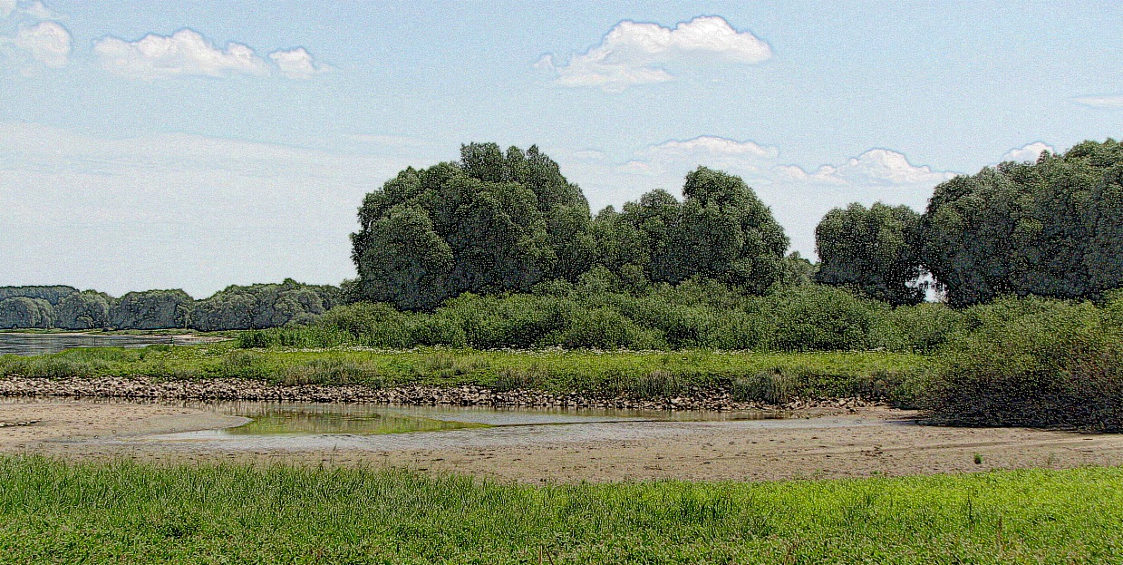 die Elbe bei Hitzacker