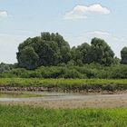 die Elbe bei Hitzacker