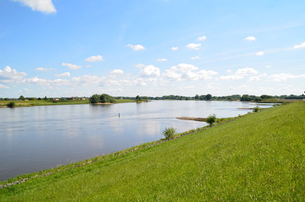 die Elbe bei Hoopte