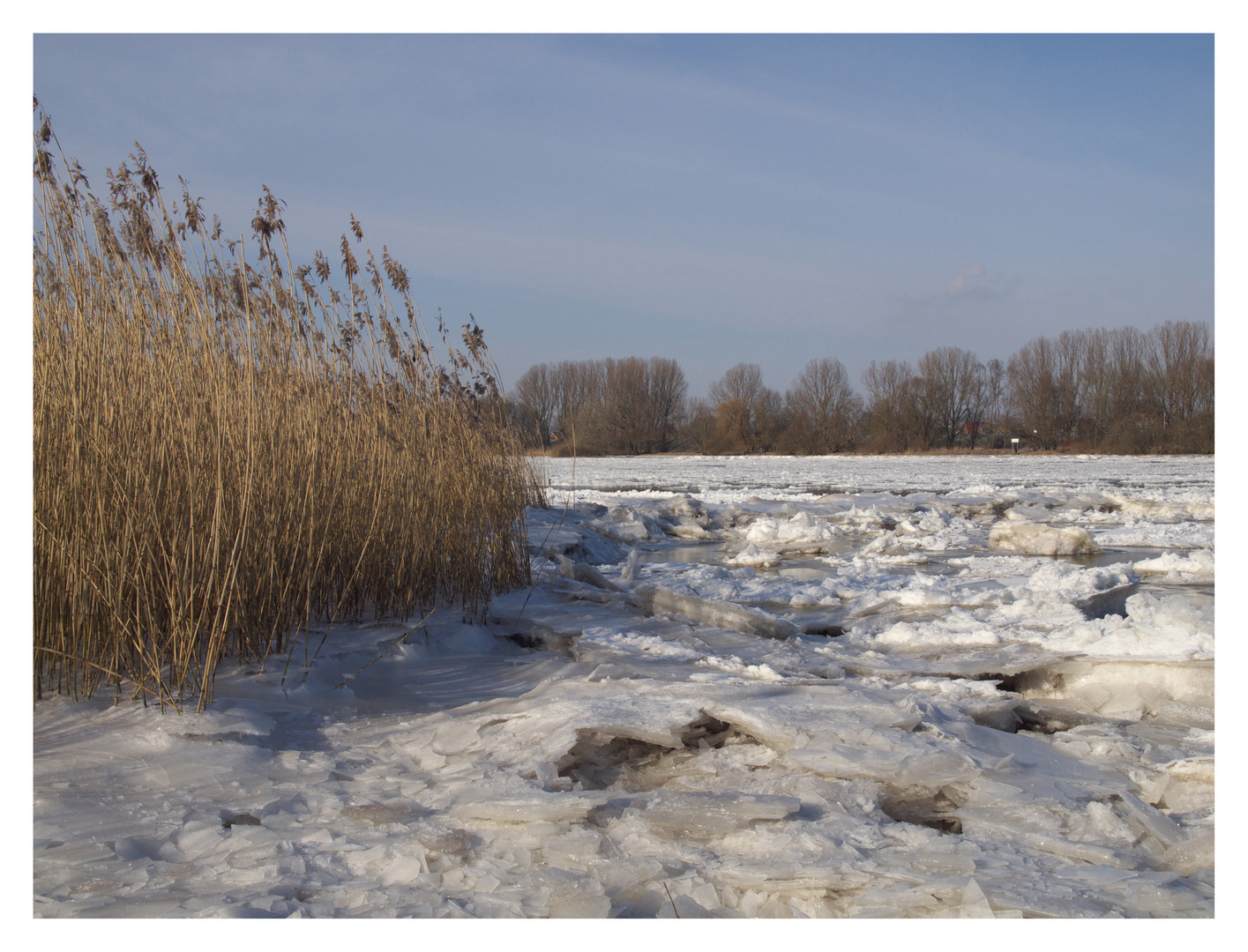 Die Elbe bei Hoopte