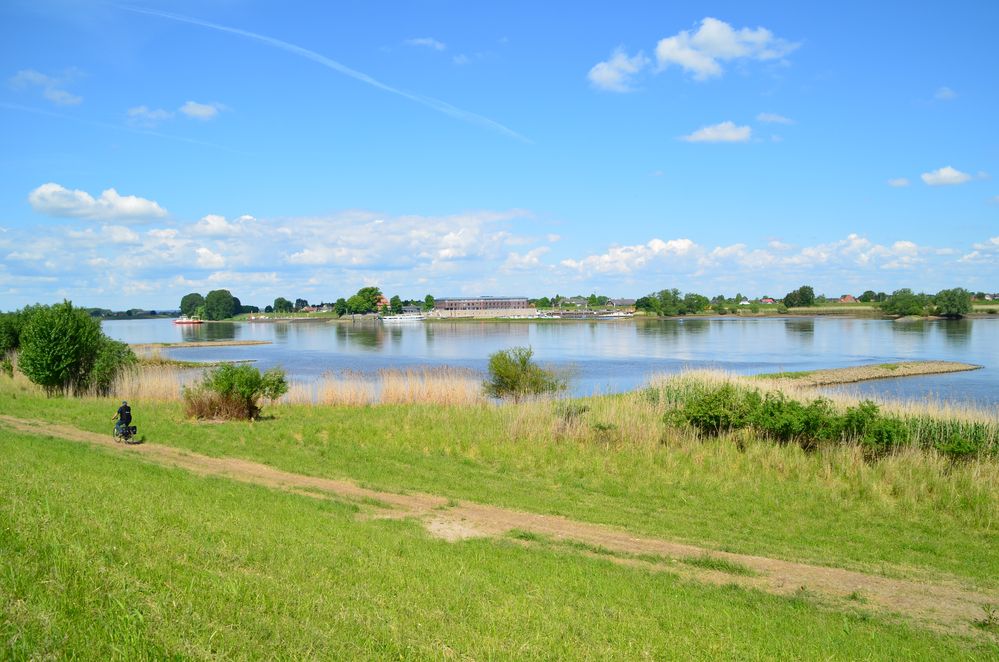 Die Elbe bei Hoopte in Niedersachsen