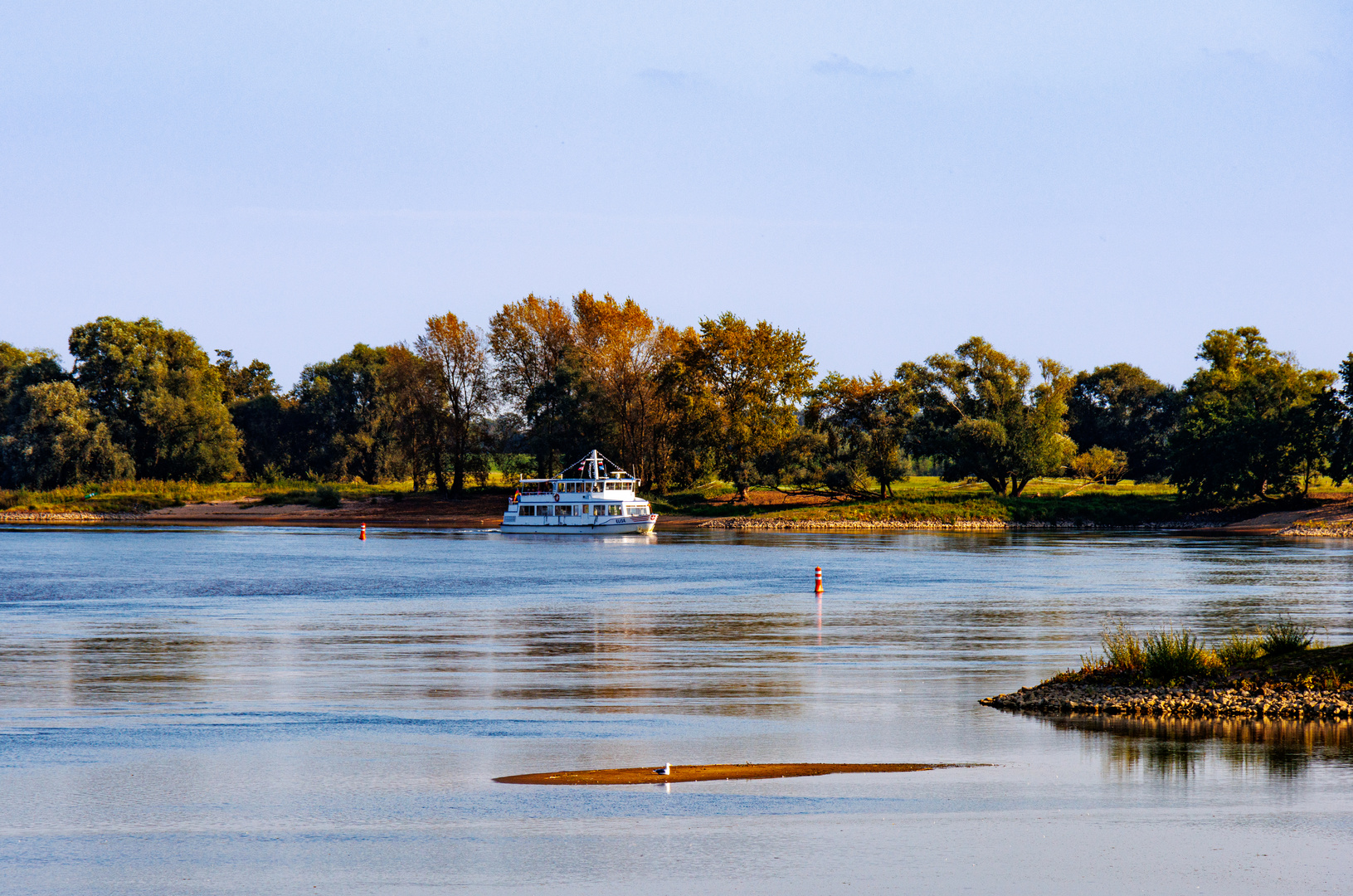 Die Elbe bei Niedrigwasser