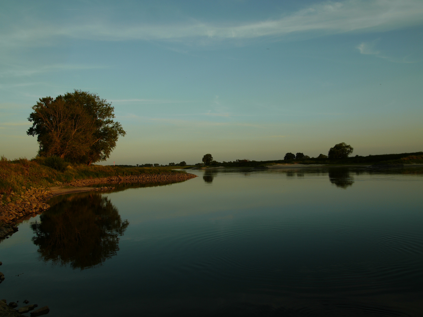 Die Elbe bei Pretzsch