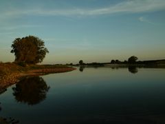 Die Elbe bei Pretzsch