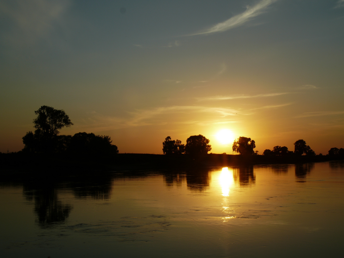 Die Elbe bei Pretzsch II