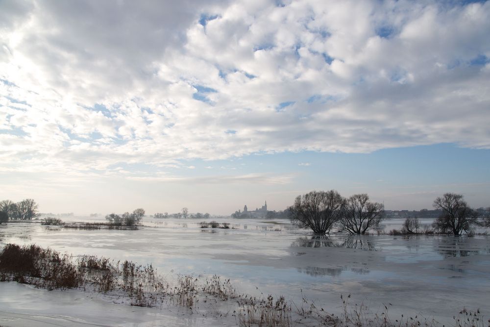 Die Elbe bei Tangermünde im Winter 2011