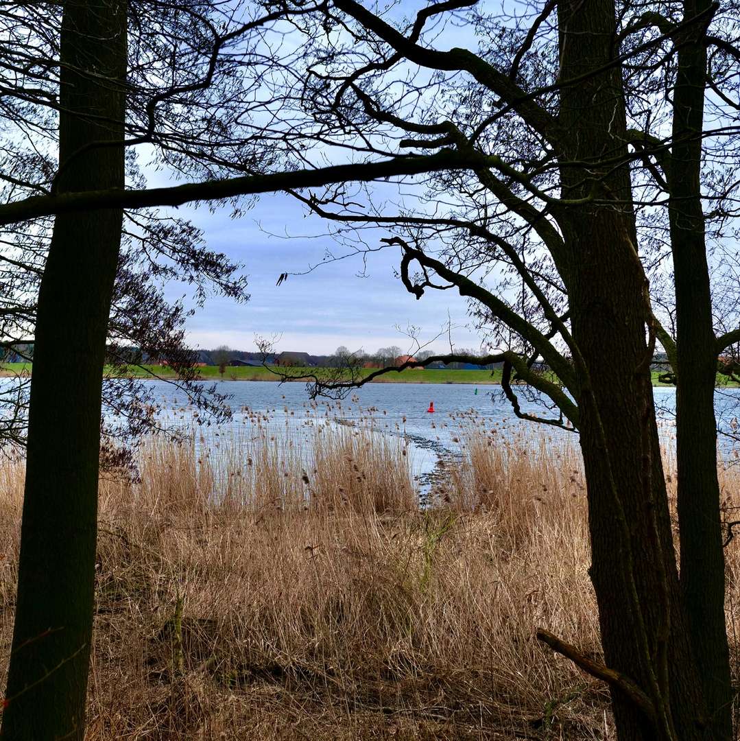 Die Elbe bei Tespehude