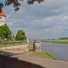 Die Elbe bei Torgau