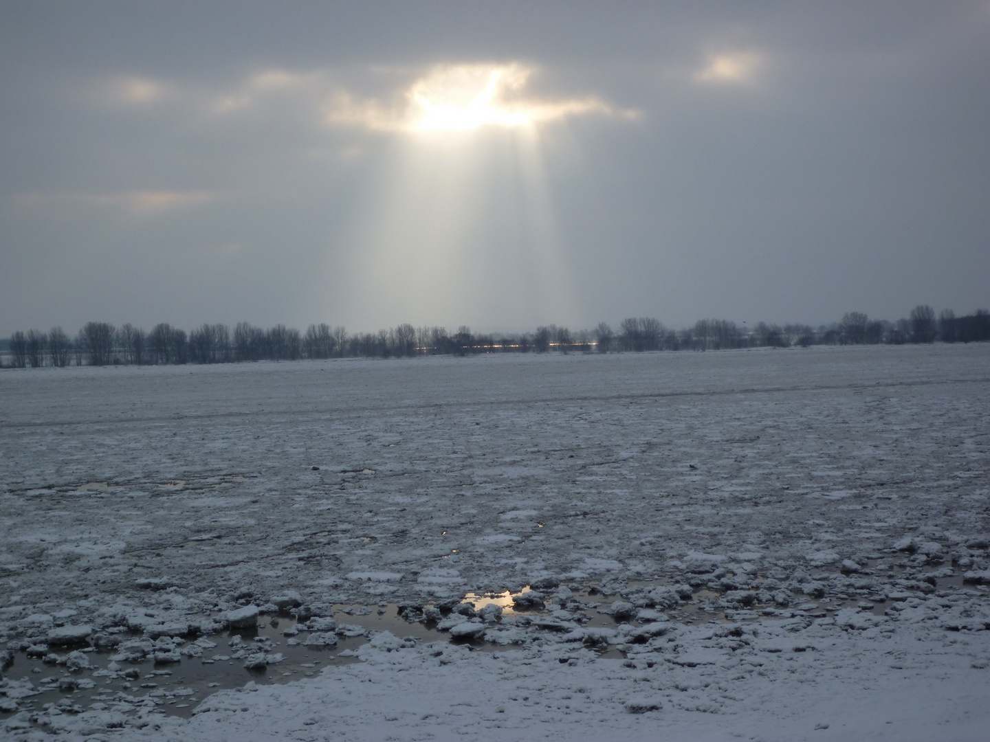 Die Elbe bei Wedel