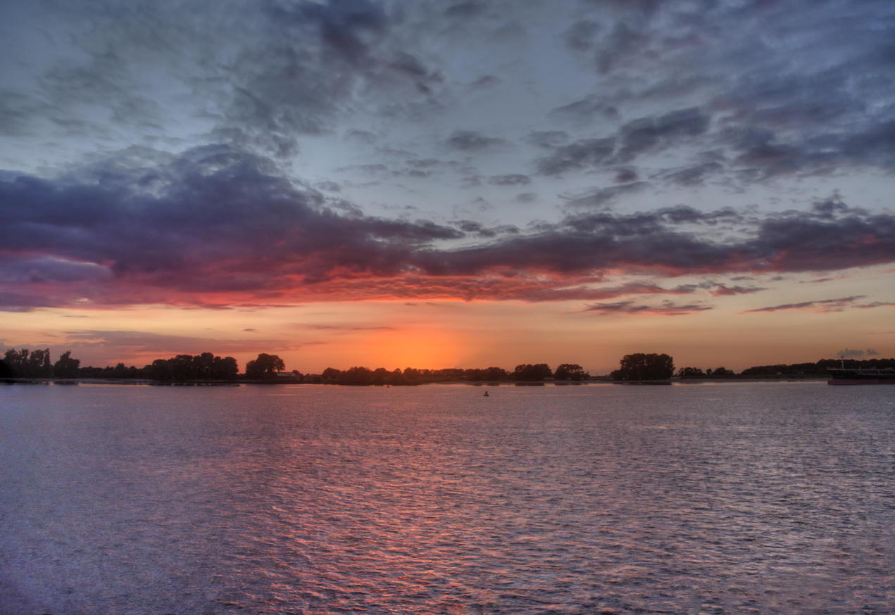 Die Elbe bei Wischhafen im Sonnenuntergang