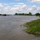 Die Elbe bei Wittenberg