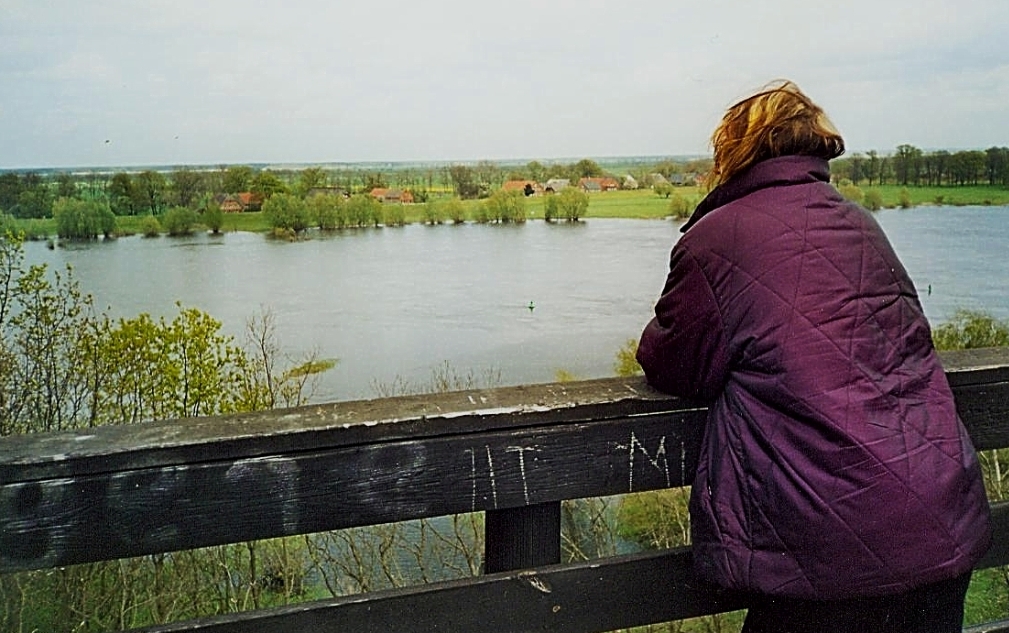 die Elbe ganz unten