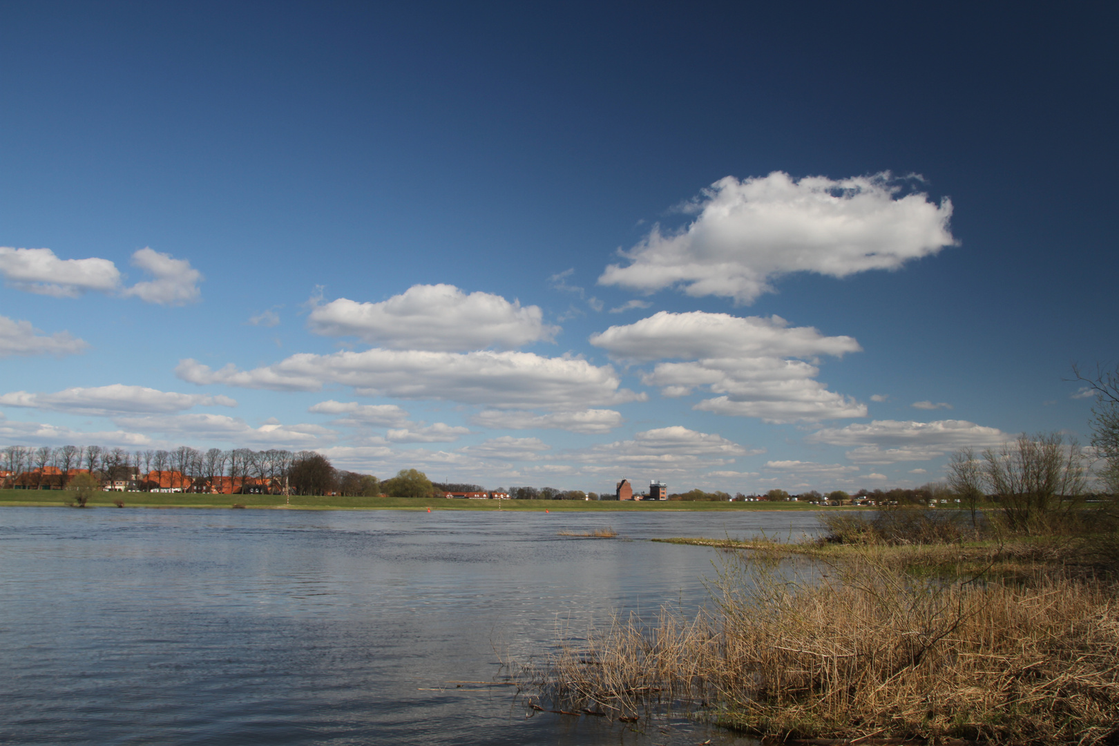 Die Elbe im April