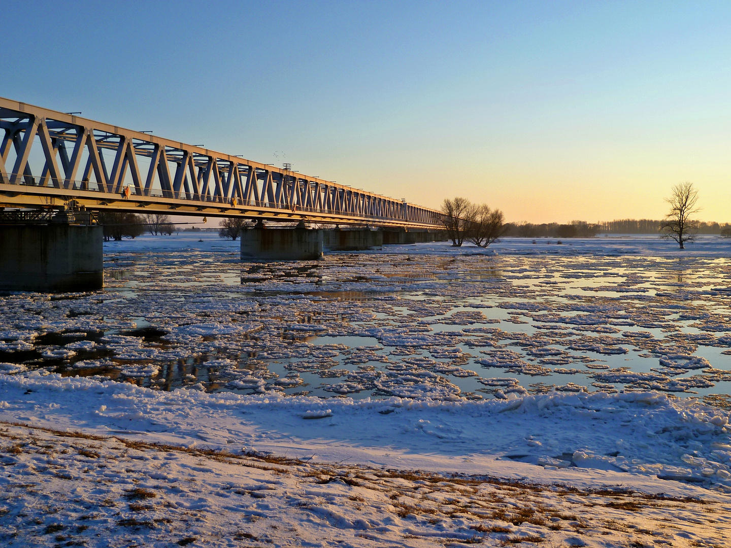 ...die Elbe im Februar 2012...