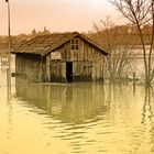 Die Elbe im Frühjahr...