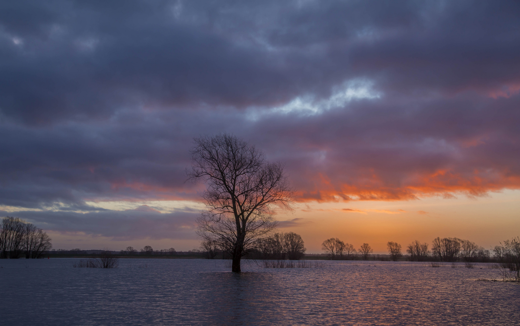 Die Elbe im Frühjahr