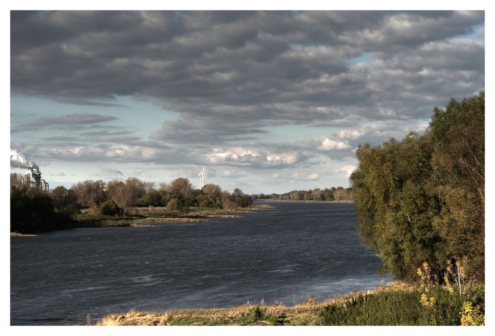 die Elbe im goldenen Oktober